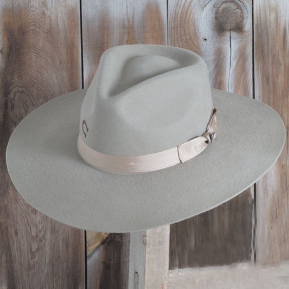 **TRADE ME** Charlie 1 Horse Highway Silver Belly